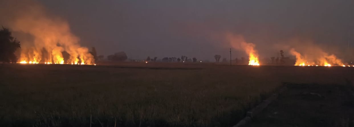 farmers burning parali