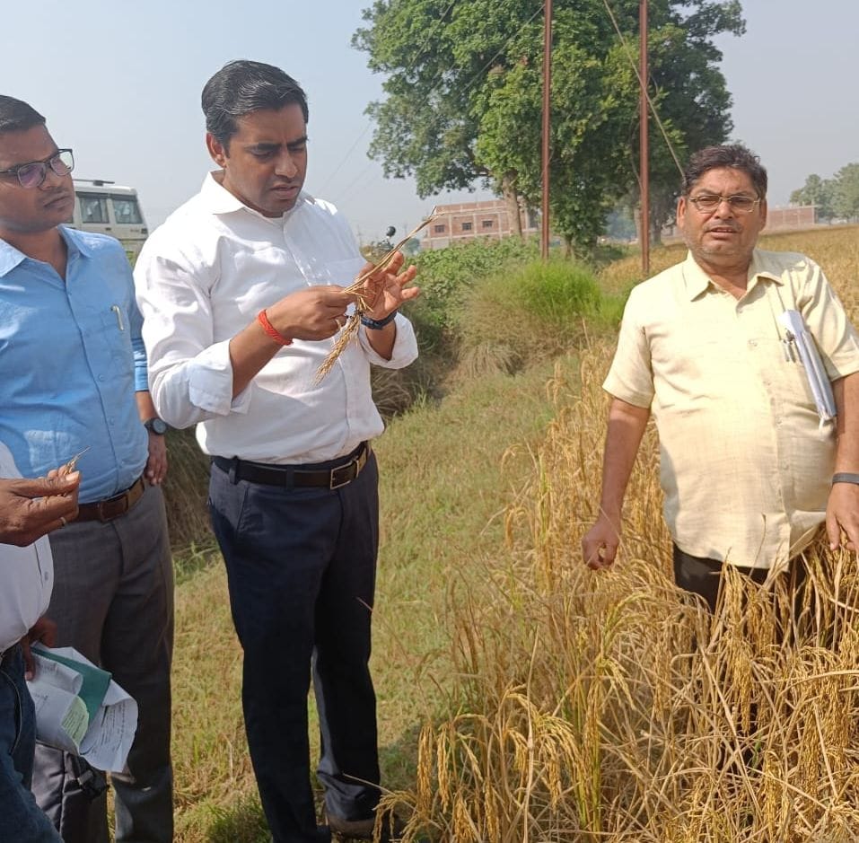 crop cutting