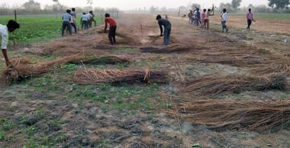 Fair Kakoda: This time the area will be three lakh square meters more