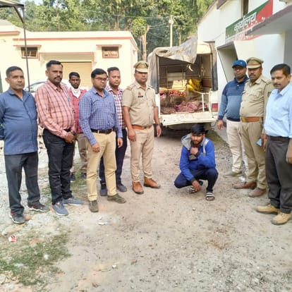 Pig hunting in Bareilly, caught in Pilibhit