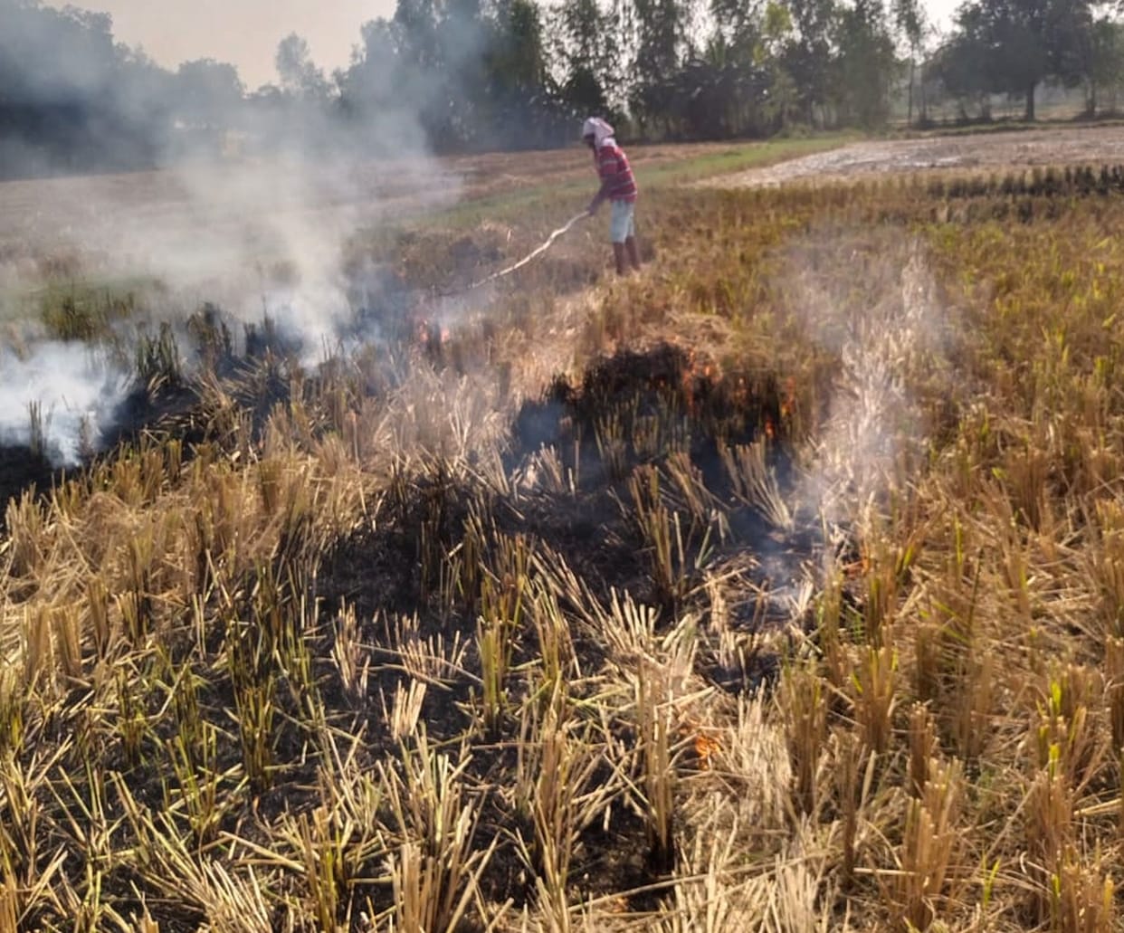 How to control pollution, farmers are burning stubble