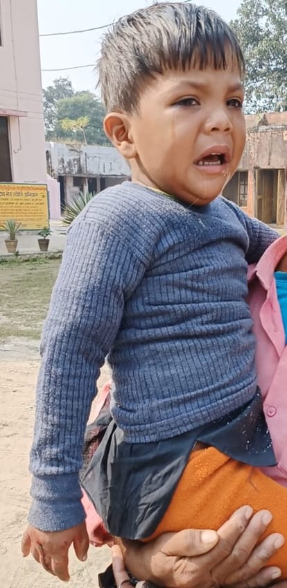 Jackal attacking, biting innocent child's hand