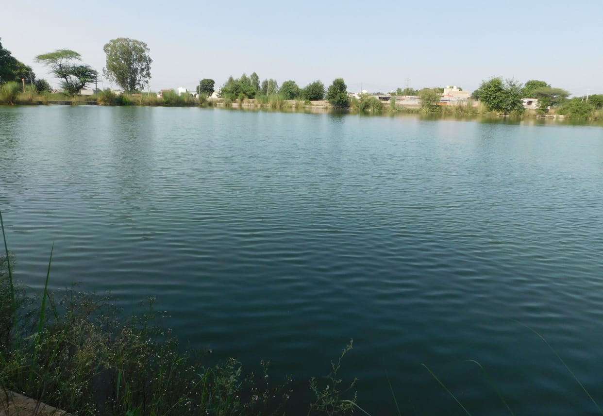 The department got the filter media of 20 water houses cleaned