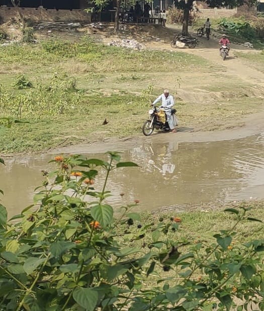 Ginger smuggling from Nepal's Dong district in pursuit of three times profit