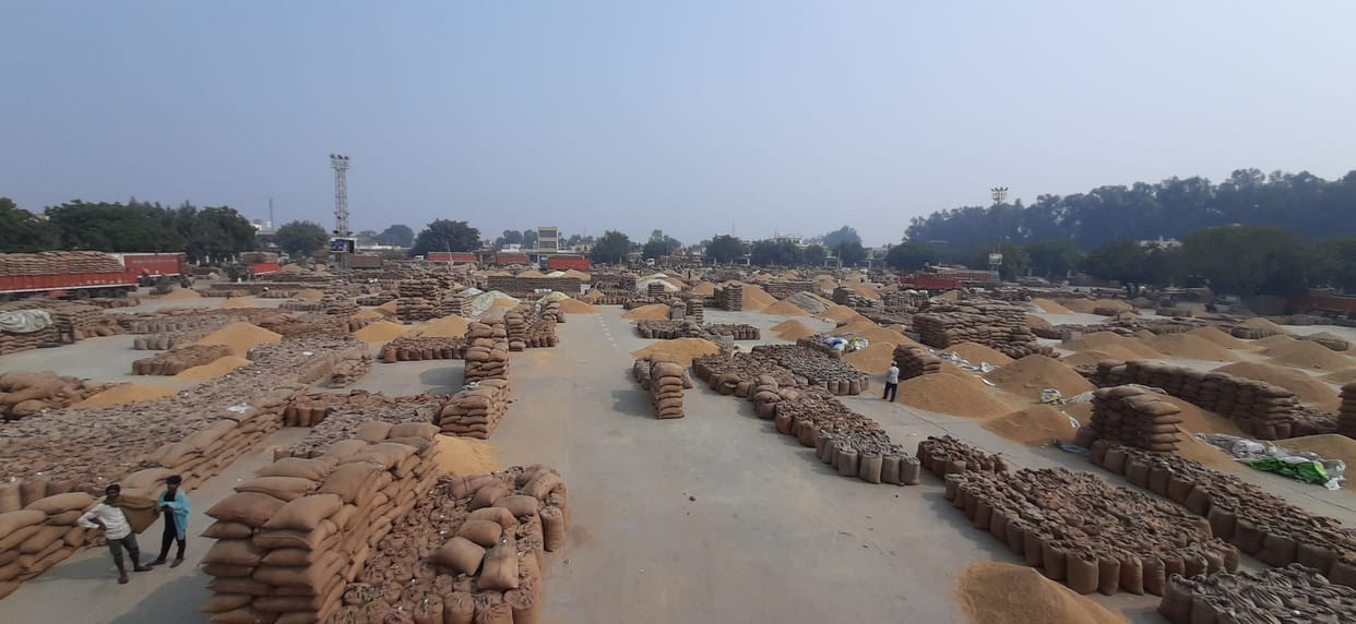 Paddy lifting work started in grain market