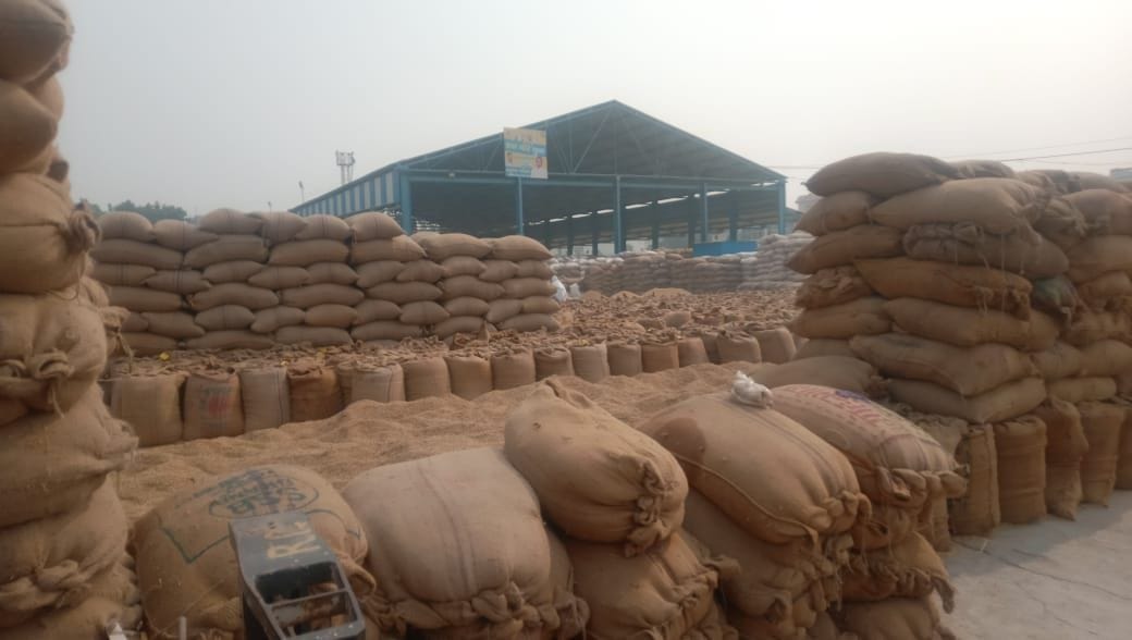 It is necessary for society, government and market to come together towards food security