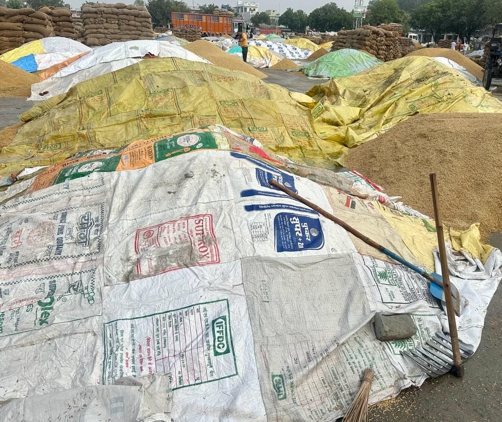 Purchasing and lifting stopped in grain market, tried to save by spreading tarpaulin
