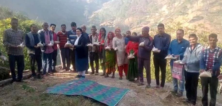 Oat grass will prevent forest fires