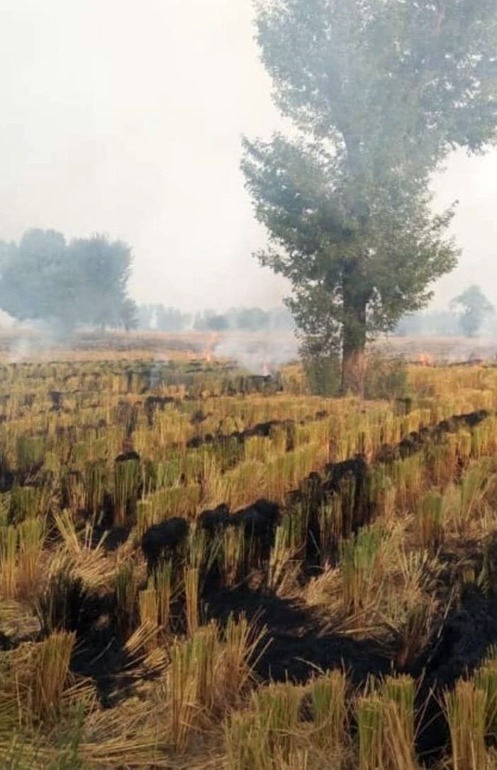 Out of 5 locations of stubble burning, only one place was found burnt.
