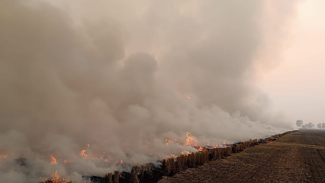 Stubble burnt at two places in the district, pollution level recorded at 225 AQI