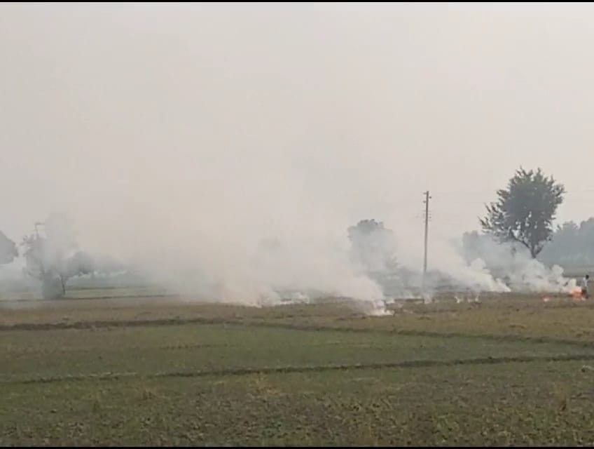 Most stubble burnt in Narnaund in Hansi block, village Bhaini Amirpur in red zone