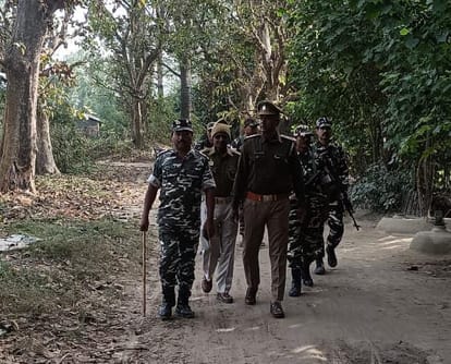 Five vicious hunters who hunted Siberian birds traced