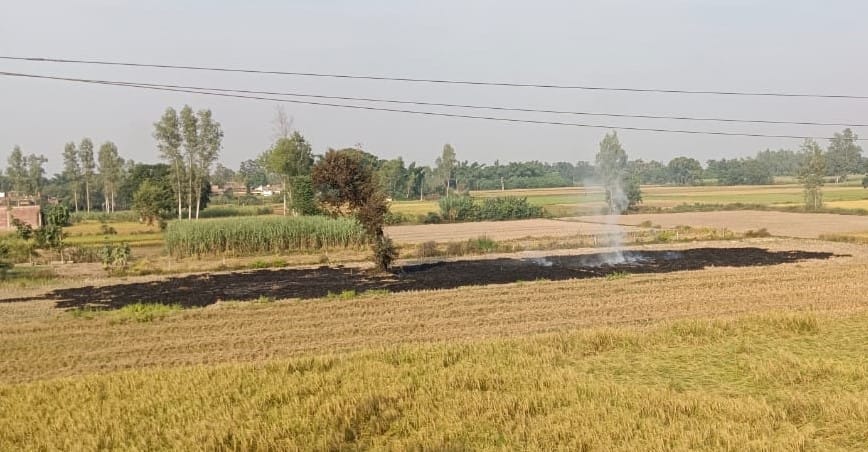 Burning of stubble in the fields, spreading pollution