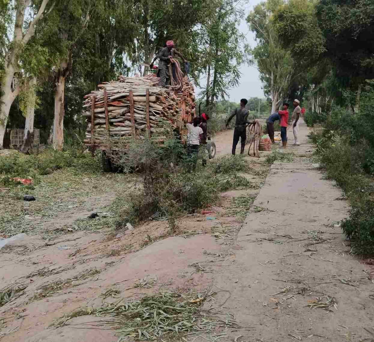 Administrative approval will have to be taken again for the construction of road from Mahavir Colony to Sector 1-4