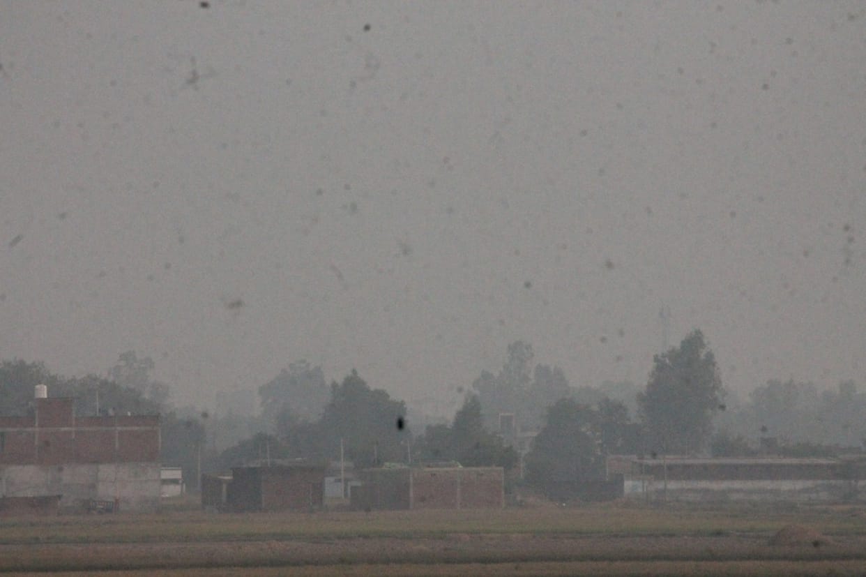 Straw and firecrackers mixed poison in the air, fog prevailed, difficulty in breathing