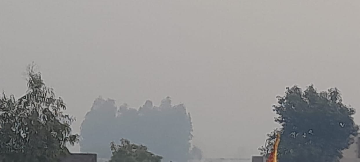 Cold started increasing...minimum mercury reached 13 degrees