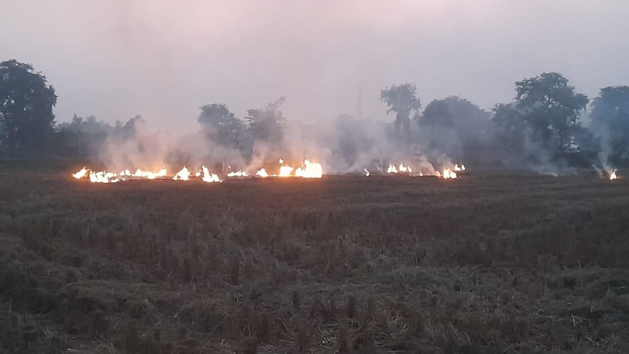 Ten people fined for burning stubble, case caught through satellite monitoring