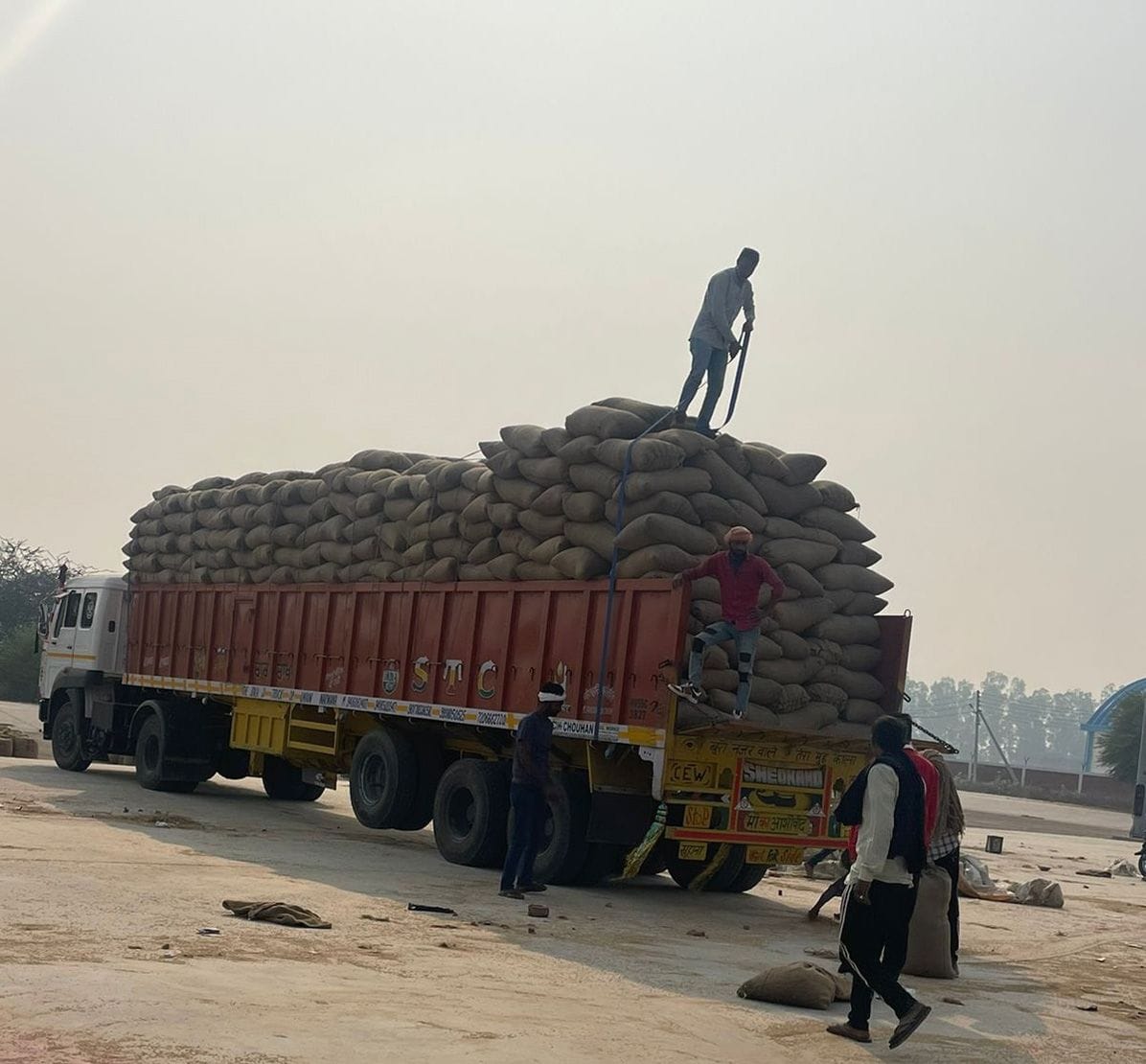 Three thousand quintals of PR paddy was purchased on the last day