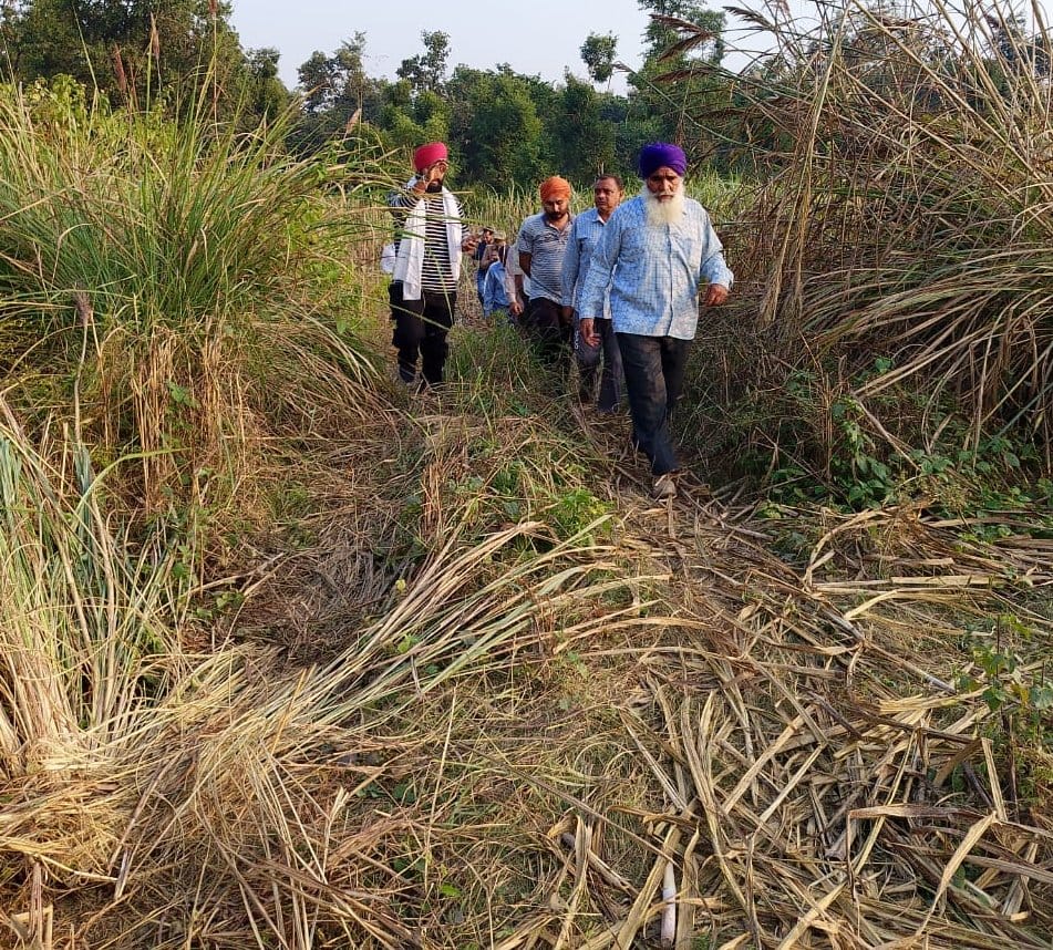 Elephant terror in Mathurapurmore, Lalwala and Biruwala