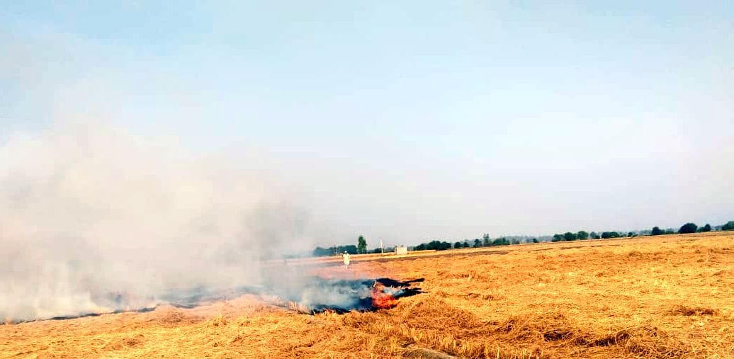One third of the state's stubble burnt in Fatehabad alone