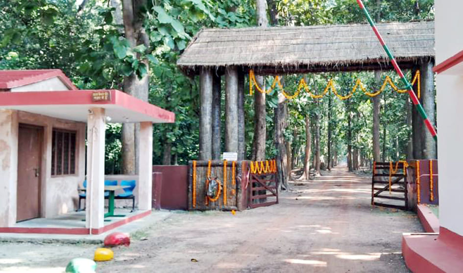 Now Dudhwa National Park can be reached by helicopter from Lucknow