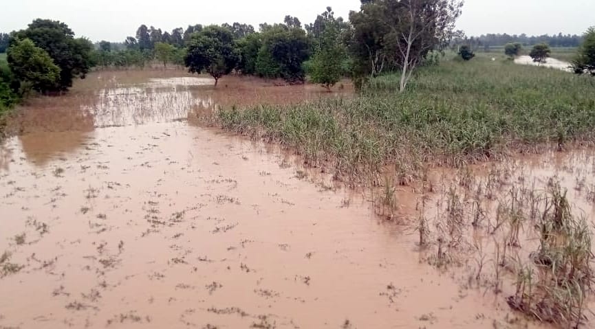 11 thousand farmers will get compensation for crop loss due to floods