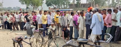 Fertilizer not available, allegations of black marketing