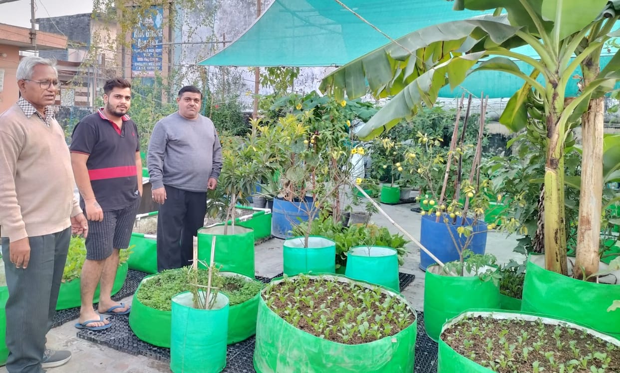 People becoming health conscious, growing organic vegetables on rooftop