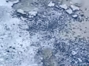 The tar laid on five kilometers of road was uprooted the very next day