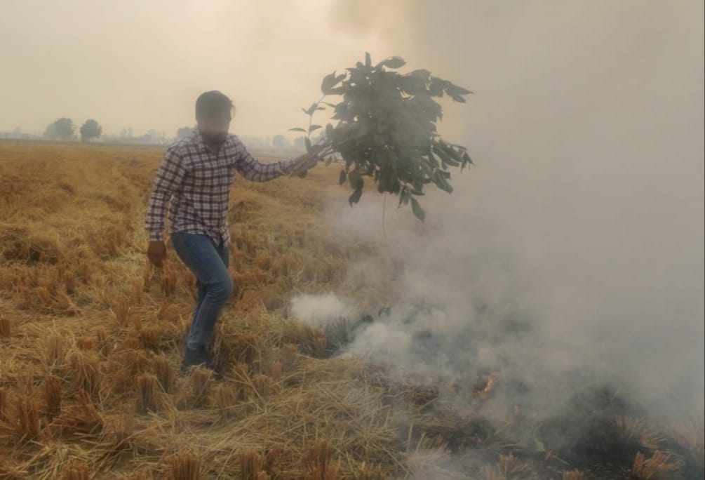 Administration became strict, case registered against farmer burning stubble