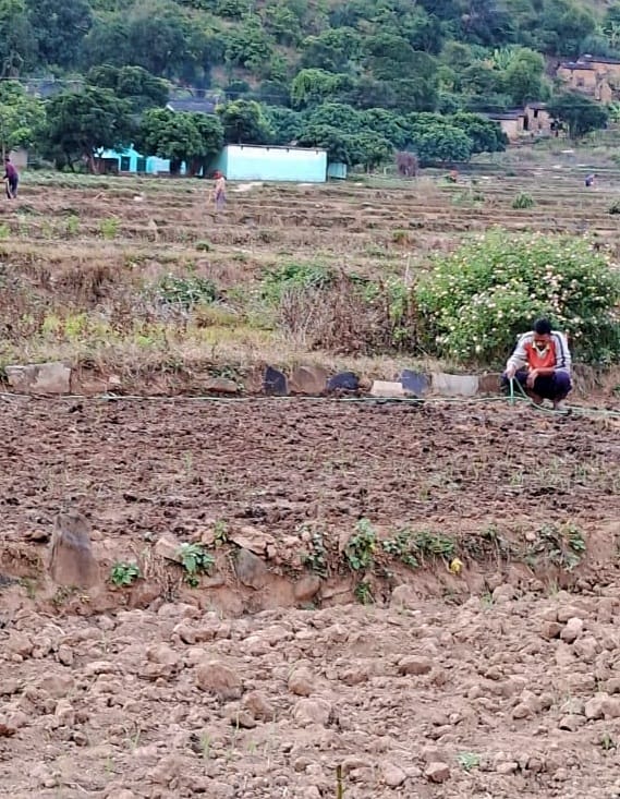 Hundreds of drain lands in Tadigaon are becoming barren due to lack of irrigation
