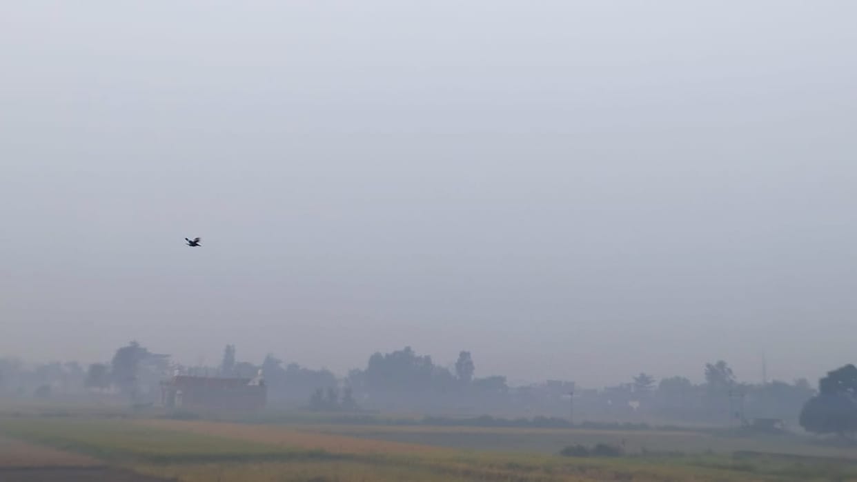 Fog prevails in the morning and evening, heat due to strong sunlight during the day