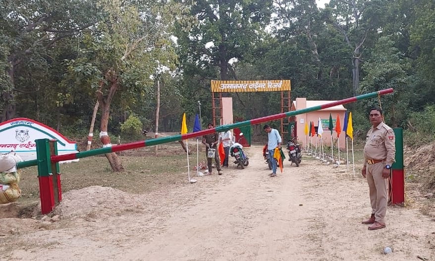 Jungle safari in Amangarh during the day and exciting night stay at night.
