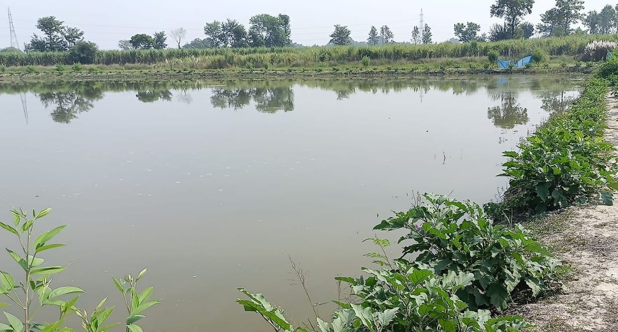 Gonda tops in Devipatan division in increasing fish production