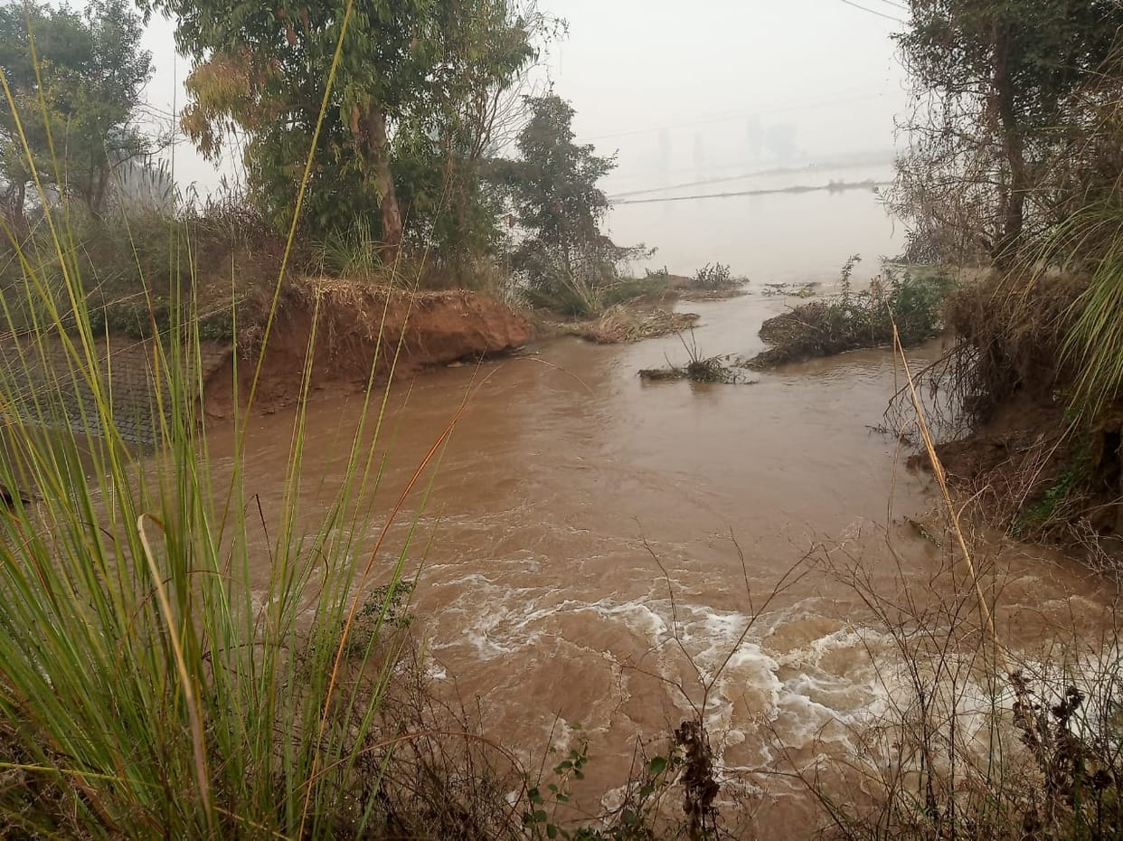 Nohar feeder canal going to Rajasthan broken, fields of village Makhosrani and Darba Kalan filled with water