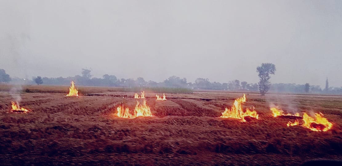 Pollution increasing due to stubble burning, 29 cases detected this year