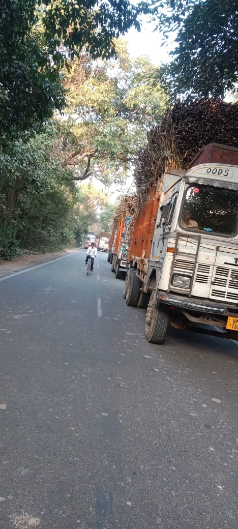 Sugarcane trucks did not enter the city while coming to school