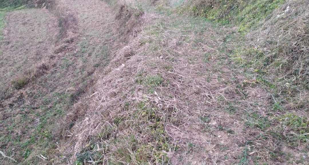 People troubled by dry cold, impact on Rabi crop and horticulture