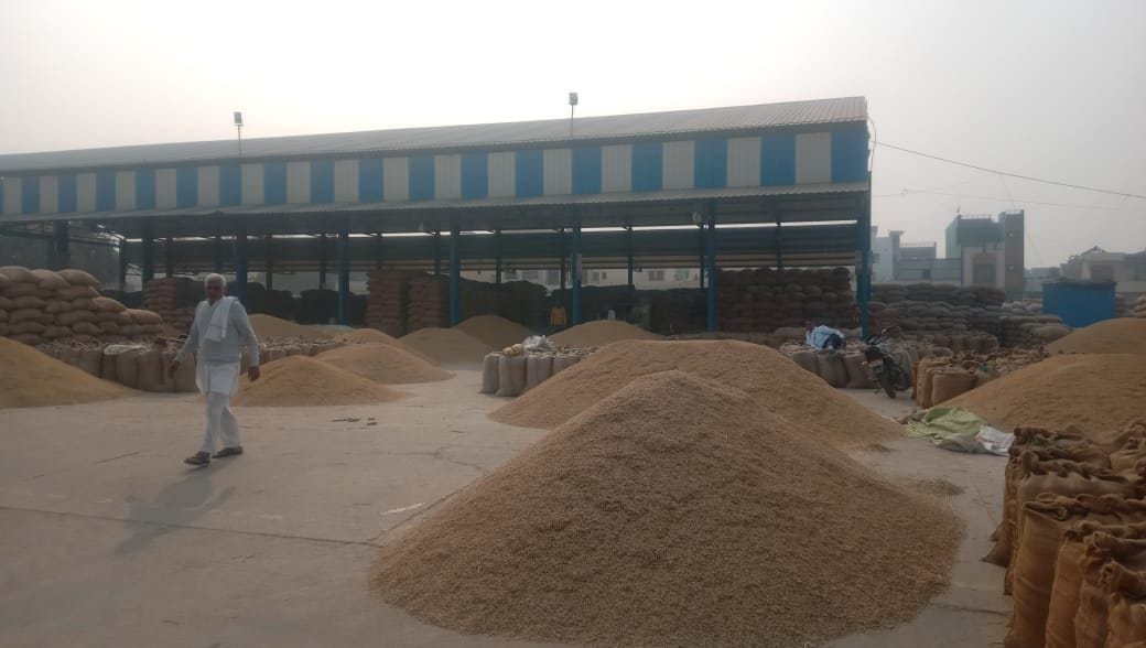 Paddy arrival crosses 20 lakh quintals