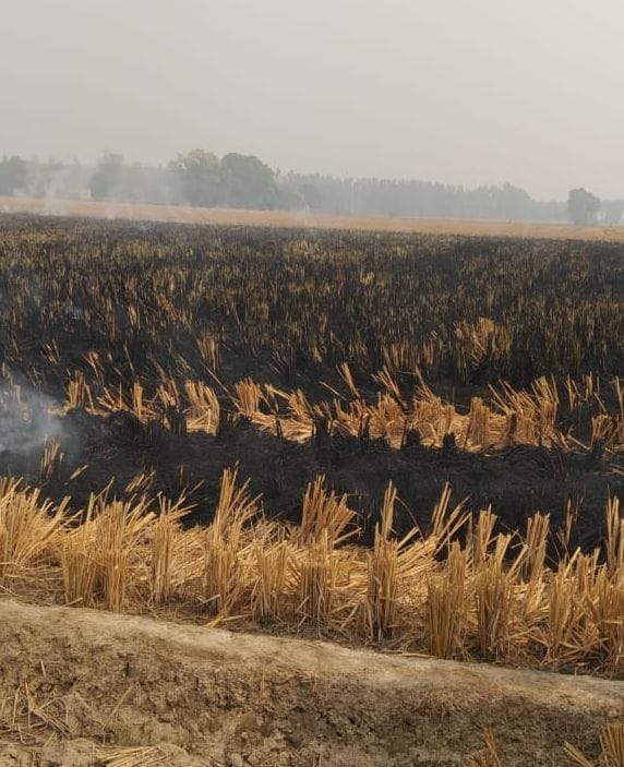 Stubble burnt at 20 places in the district, case registered against two farmers