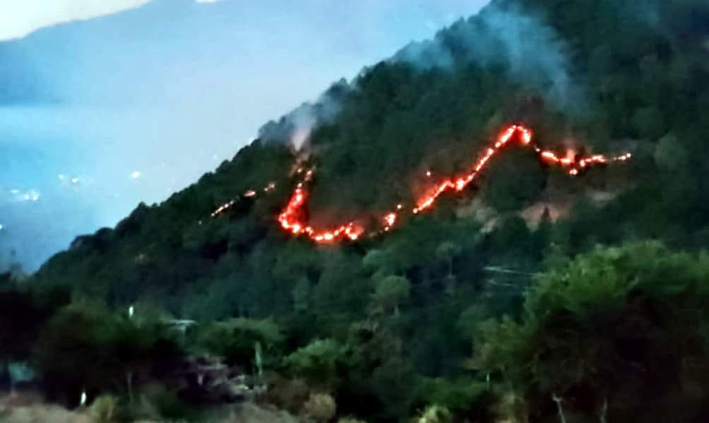 Dewar-Khadora forests burning in fire since two days