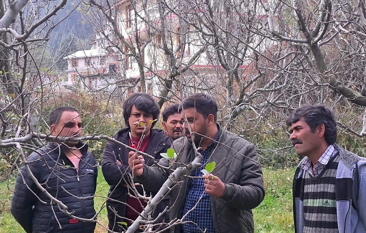900 gardeners learned pruning techniques