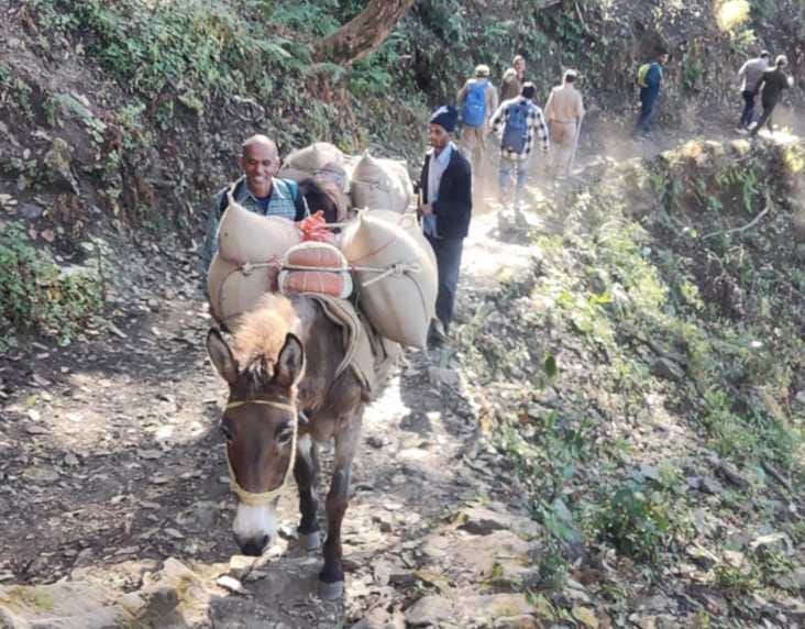 Bakora: Horse-mule in the name of transportation facility