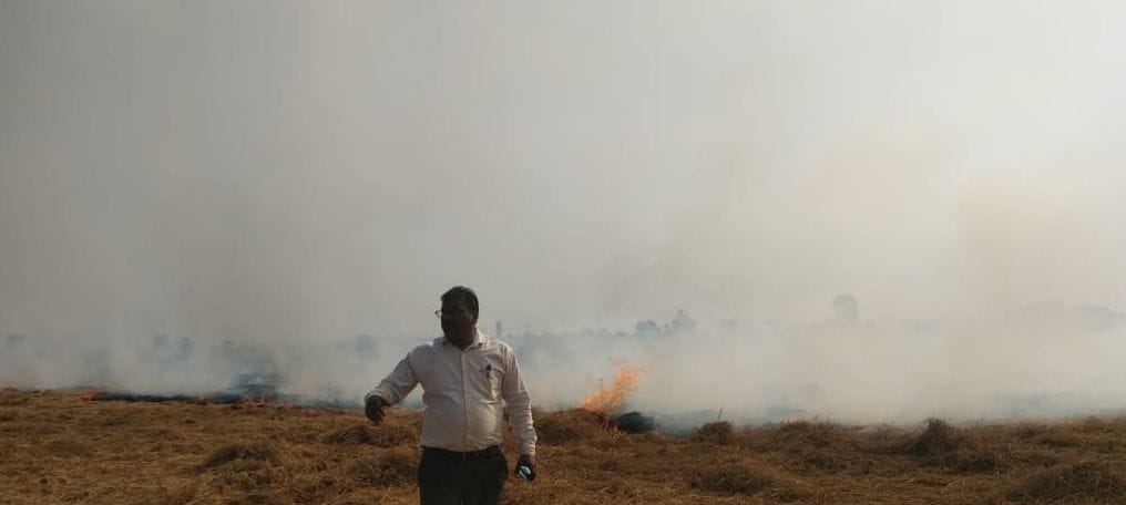 Stubble burnt at 14 places, case registered against eight farmers