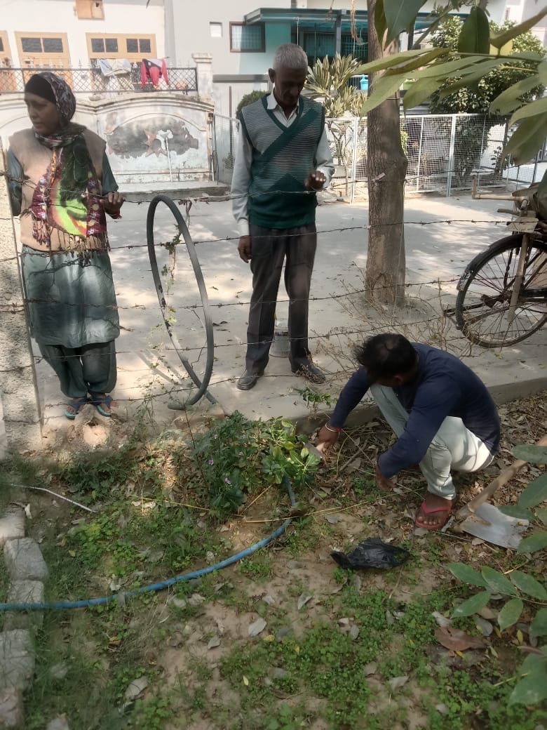Someone is watering the green belt and someone is sowing vegetables, HSVP cuts illegal connections
