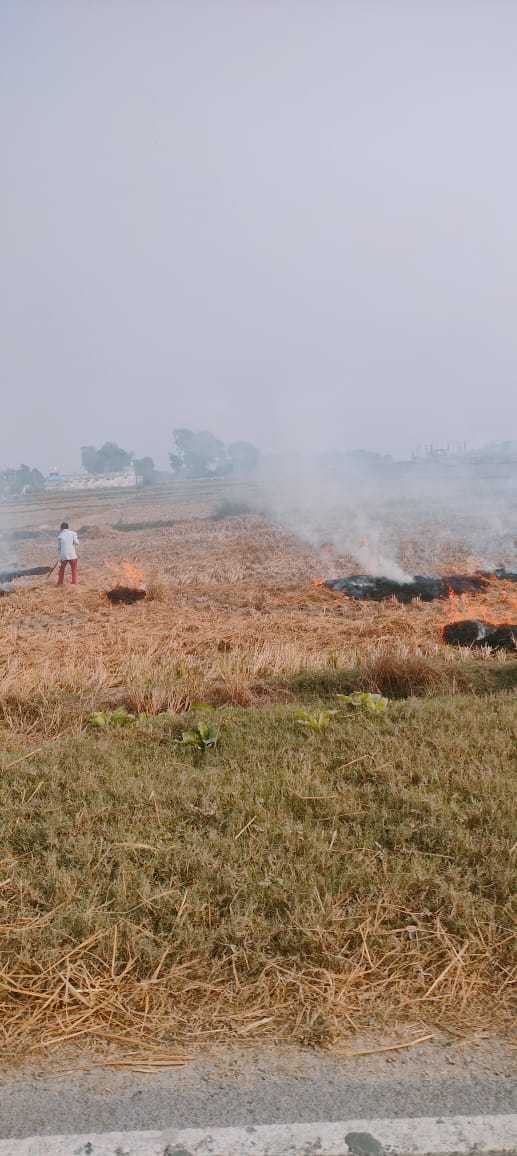 There is no reduction in pollution, people are also burning stubble
