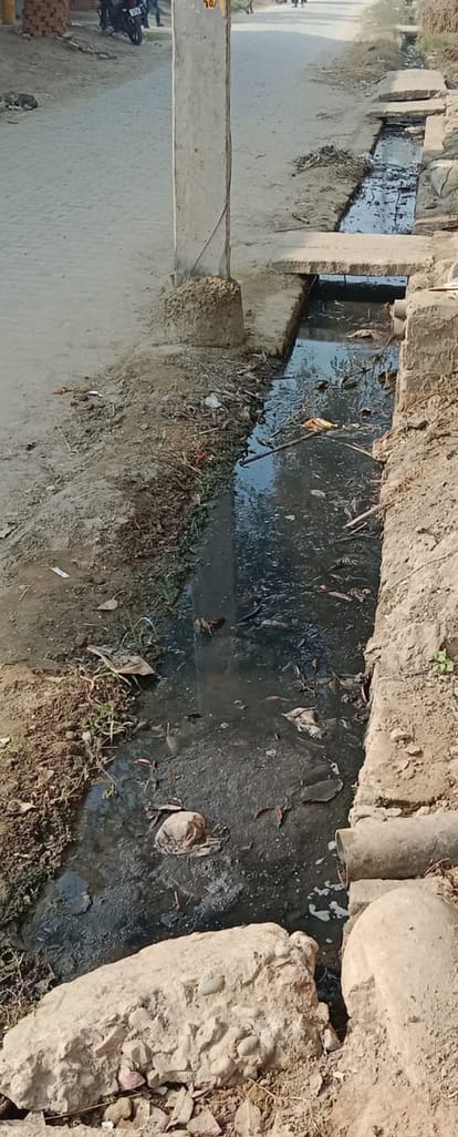 Woman dies of dengue in Singthara, health department is not getting patients