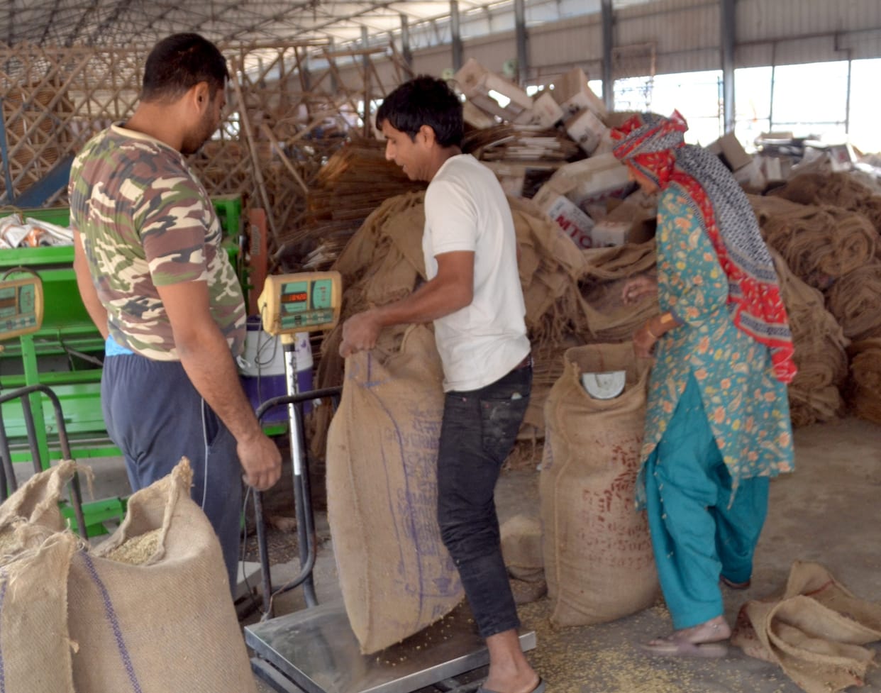 155 quintals of paddy purchased at three centers