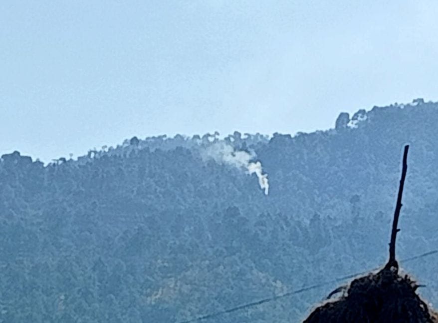 The sequence of forest fires is not stopping in winter