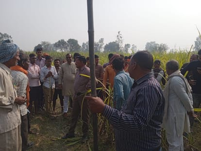 Leopard hunted wild boar in Bisalpur